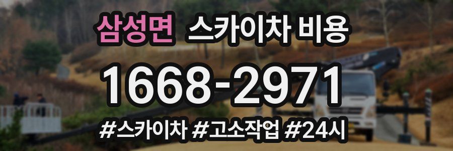 삼성면 스카이차 비용