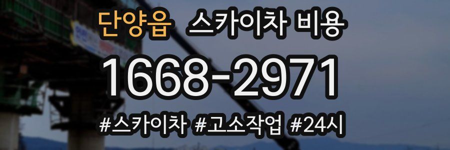 단양읍 스카이차 비용