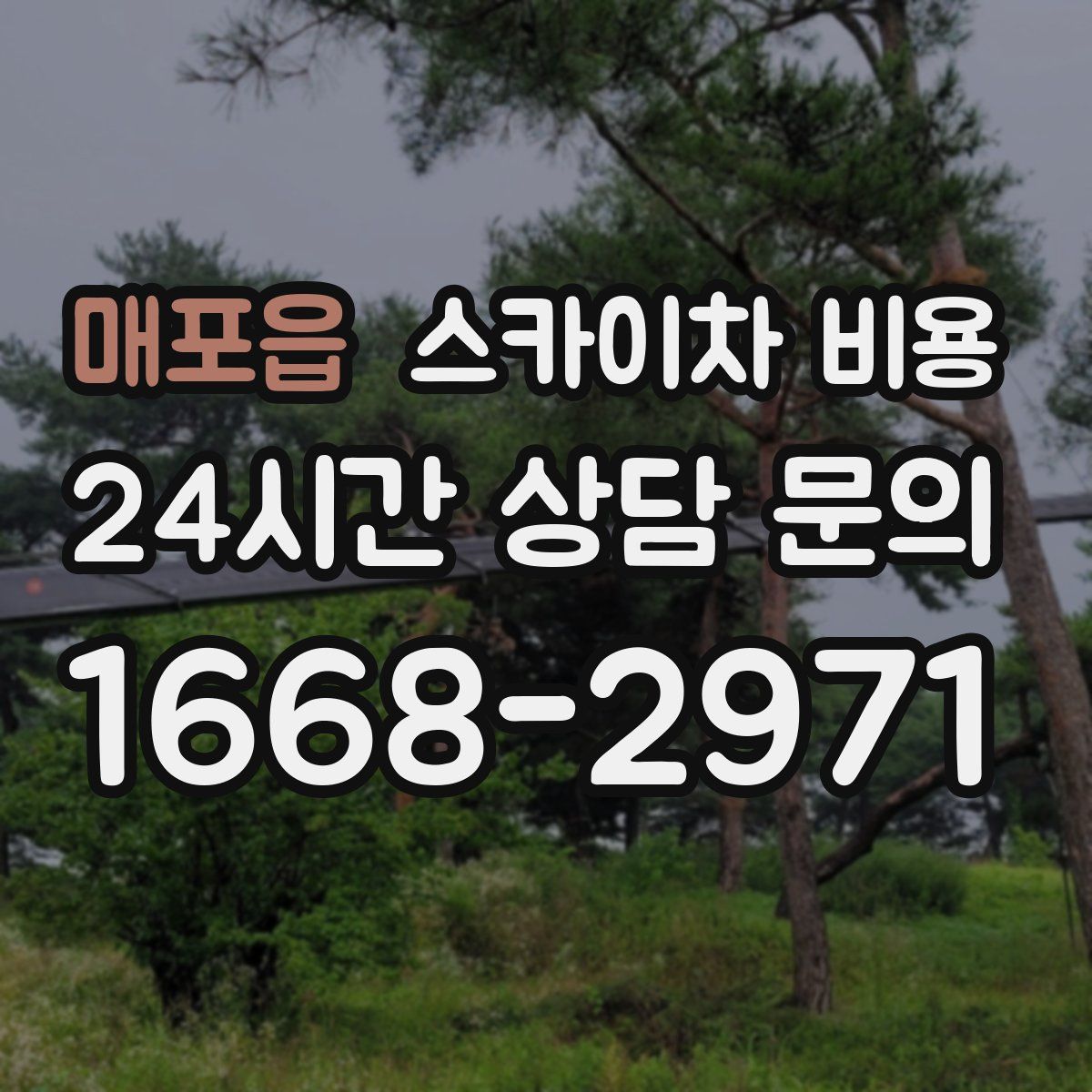 매포읍 스카이차 비용