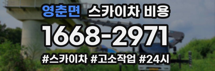 영춘면 스카이차 비용