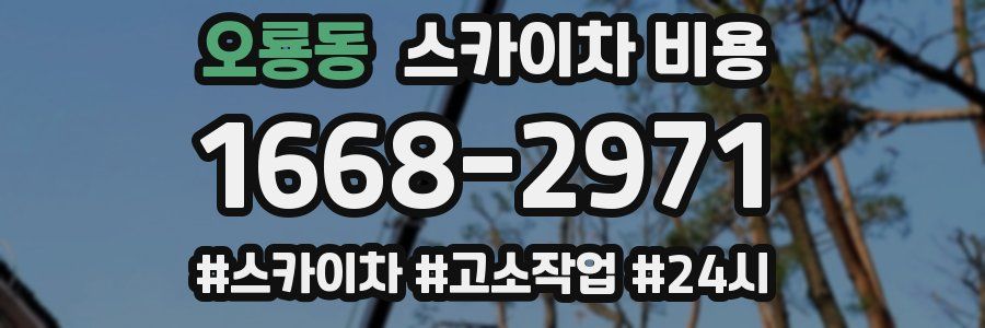 오룡동 스카이차 비용