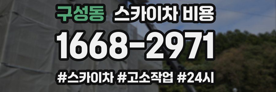 구성동 스카이차 비용