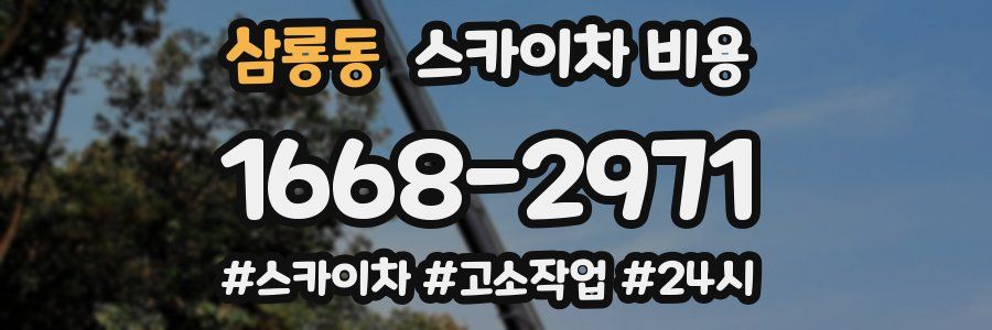 삼룡동 스카이차 비용