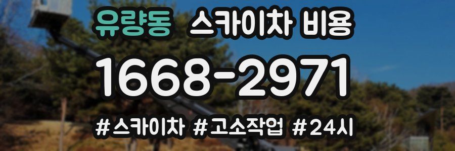 유량동 스카이차 비용