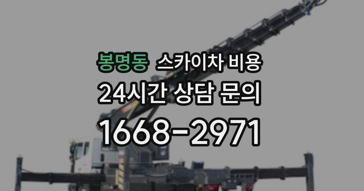봉명동 스카이차 비용