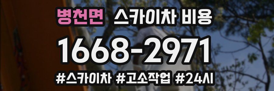 병천면 스카이차 비용