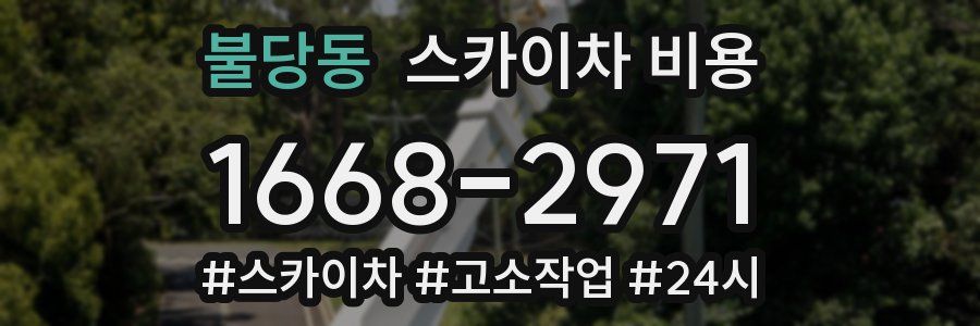불당동 스카이차 비용