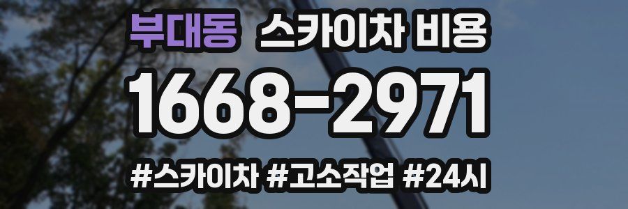 부대동 스카이차 비용