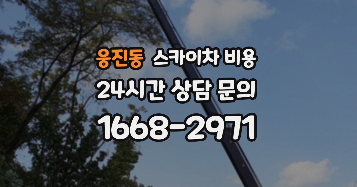 웅진동 스카이차 비용