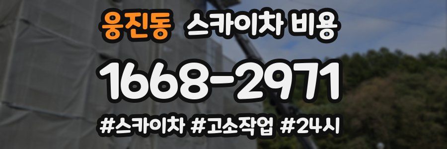 웅진동 스카이차 비용