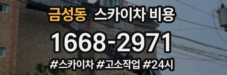 금성동 스카이차 비용