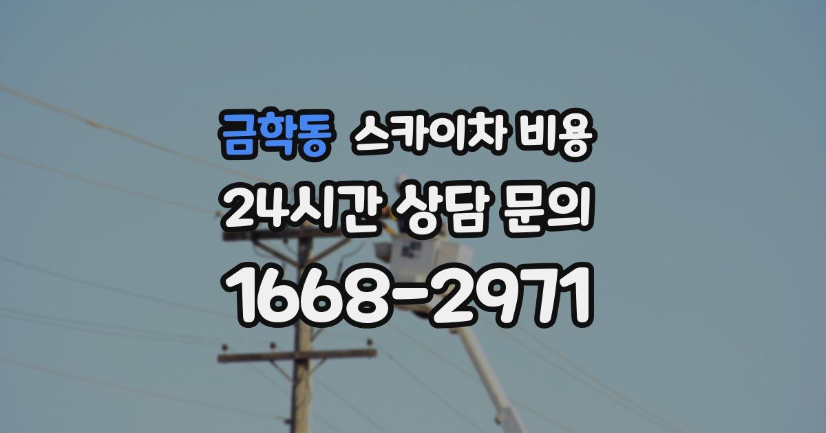 금학동 스카이차 비용