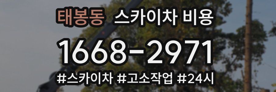 태봉동 스카이차 비용