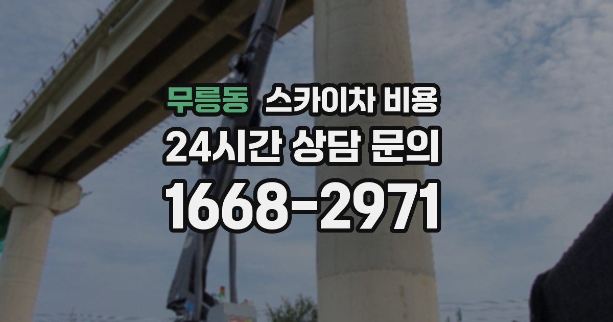 무릉동 스카이차 비용