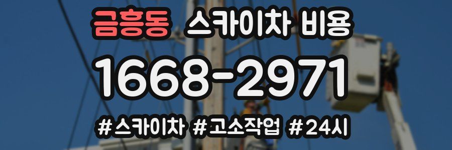 금흥동 스카이차 비용