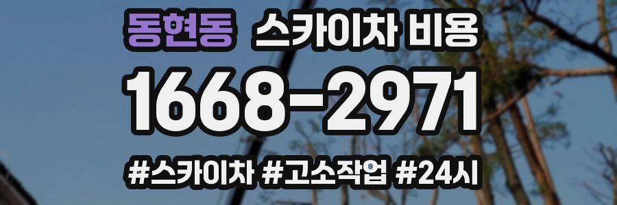 동현동 스카이차 비용