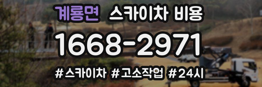 계룡면 스카이차 비용