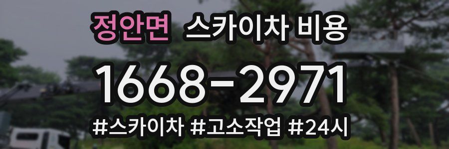 정안면 스카이차 비용