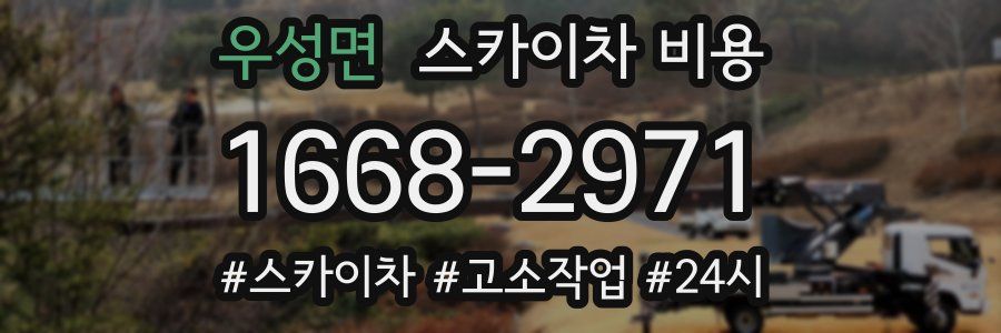 우성면 스카이차 비용