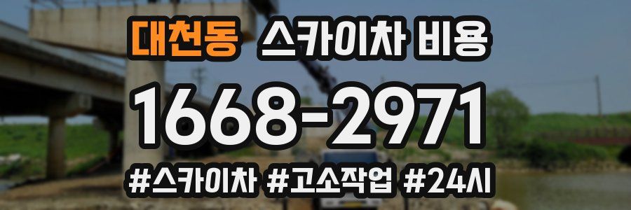 대천동 스카이차 비용