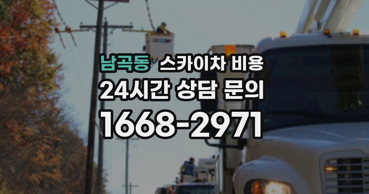 남곡동 스카이차 비용