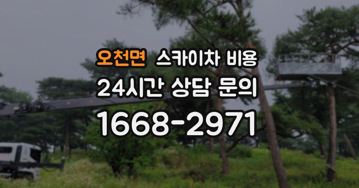 오천면 스카이차 비용