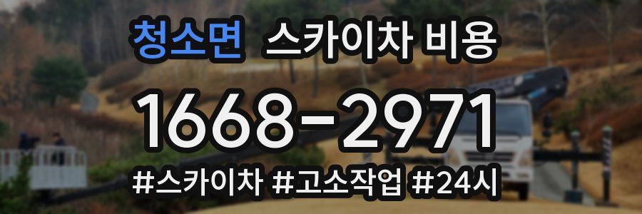 청소면 스카이차 비용