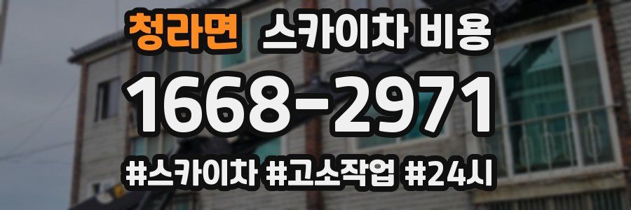 청라면 스카이차 비용