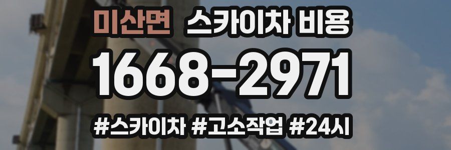 미산면 스카이차 비용