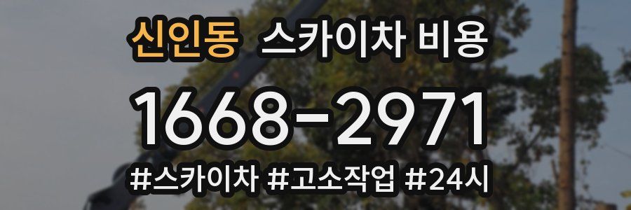 신인동 스카이차 비용