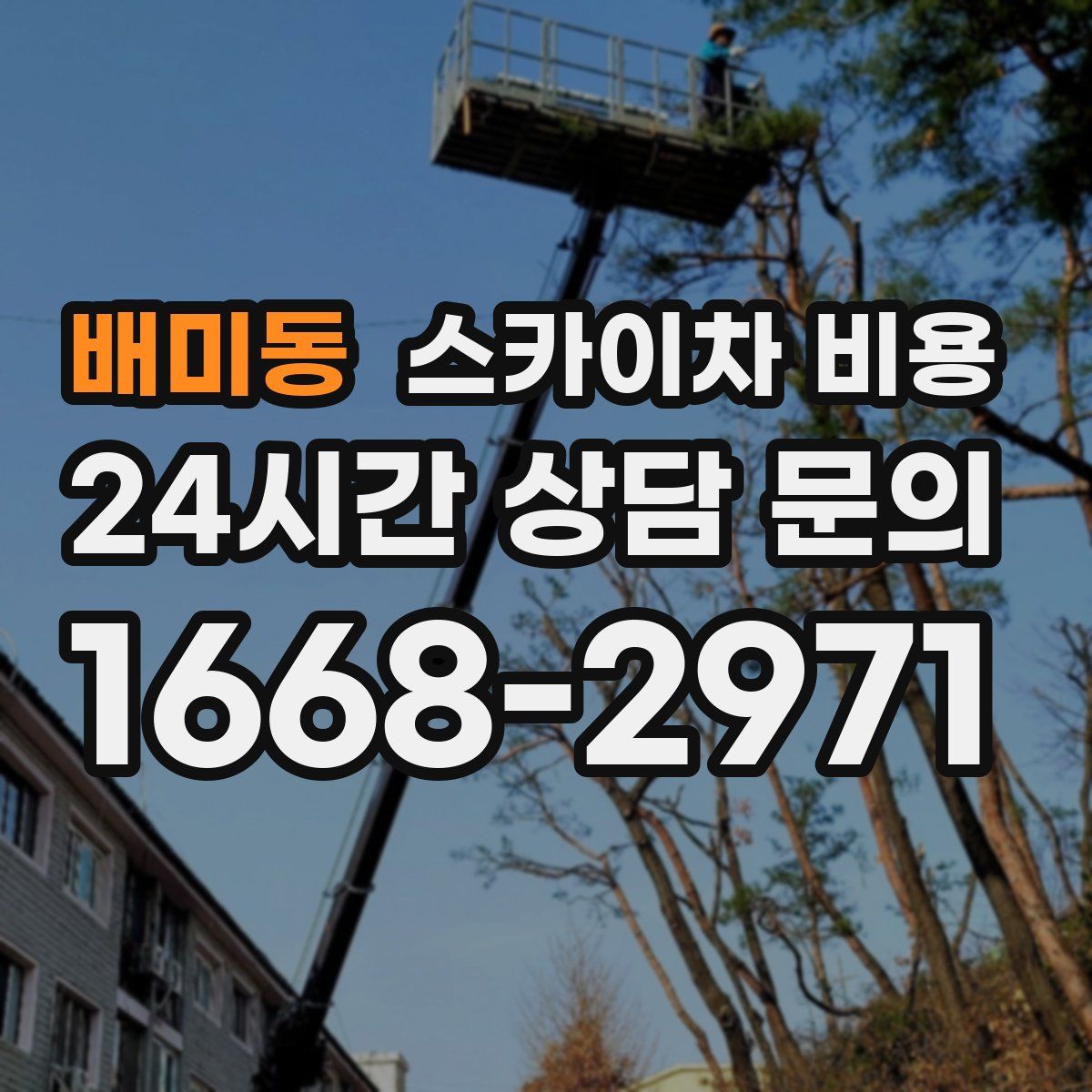 배미동 스카이차 비용