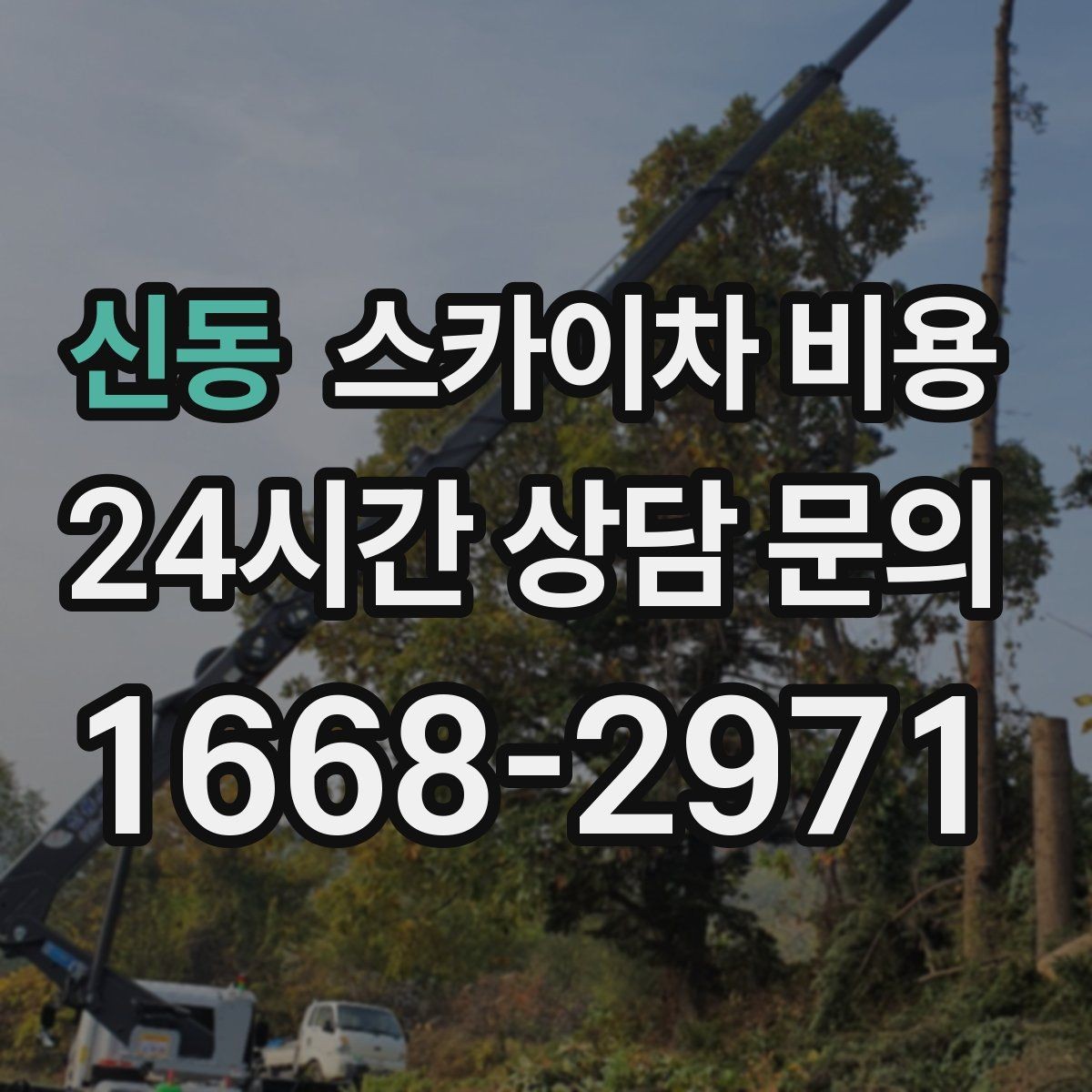 신동 스카이차 비용 도로 폭이 좁으면 장비 선택이 달라질까