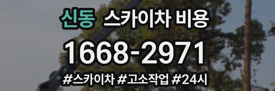 신동 스카이차 비용