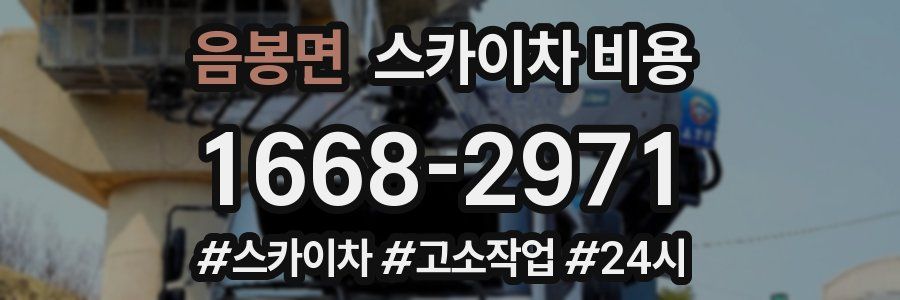 음봉면 스카이차 비용