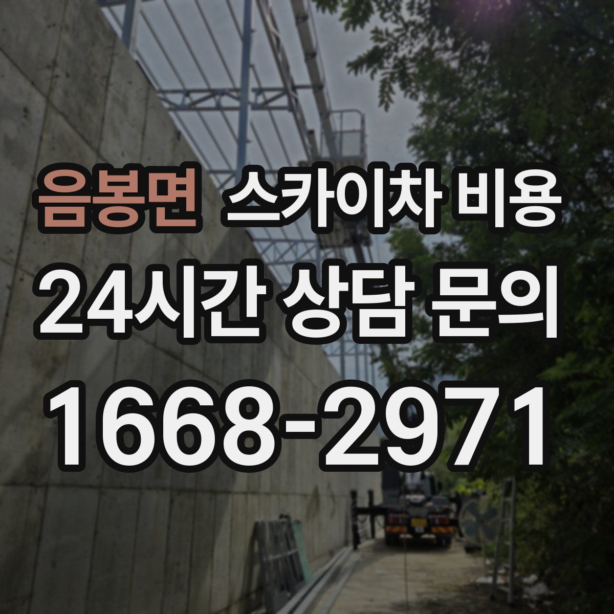 음봉면 스카이차 비용