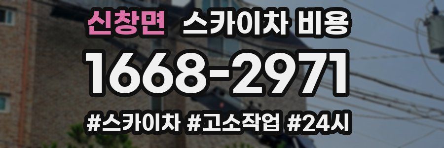 신창면 스카이차 비용