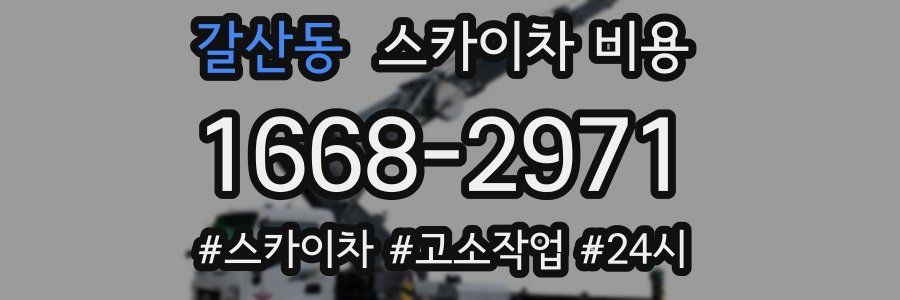 갈산동 스카이차 비용