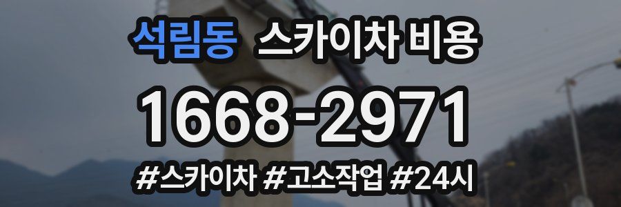 석림동 스카이차 비용