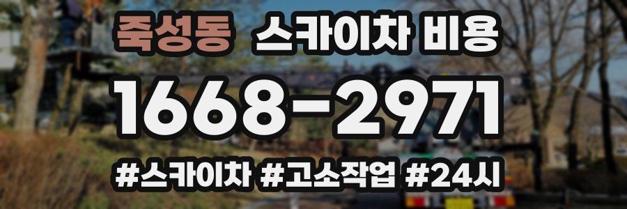 죽성동 스카이차 비용