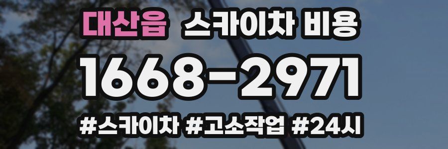 대산읍 스카이차 비용