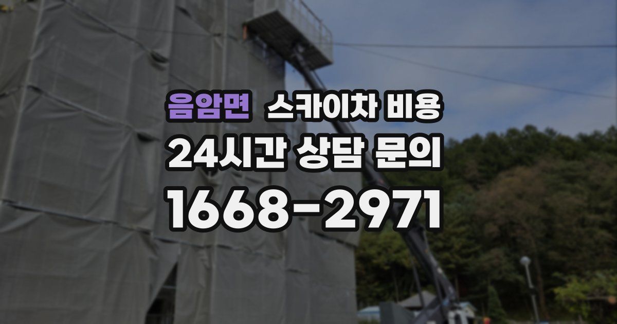 음암면 스카이차 비용