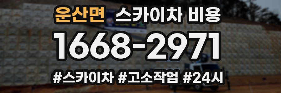 운산면 스카이차 비용