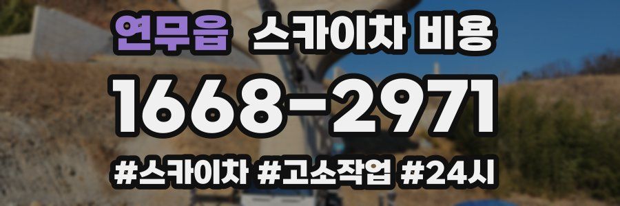 연무읍 스카이차 비용