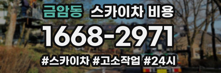 금암동 스카이차 비용