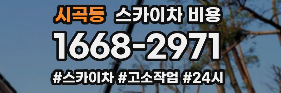 시곡동 스카이차 비용