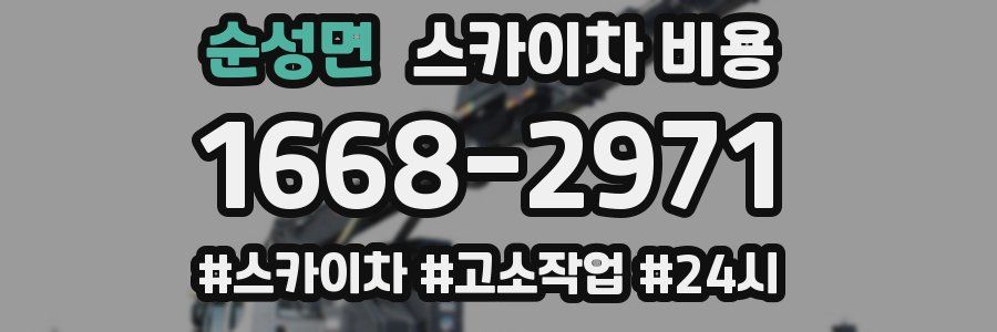 순성면 스카이차 비용