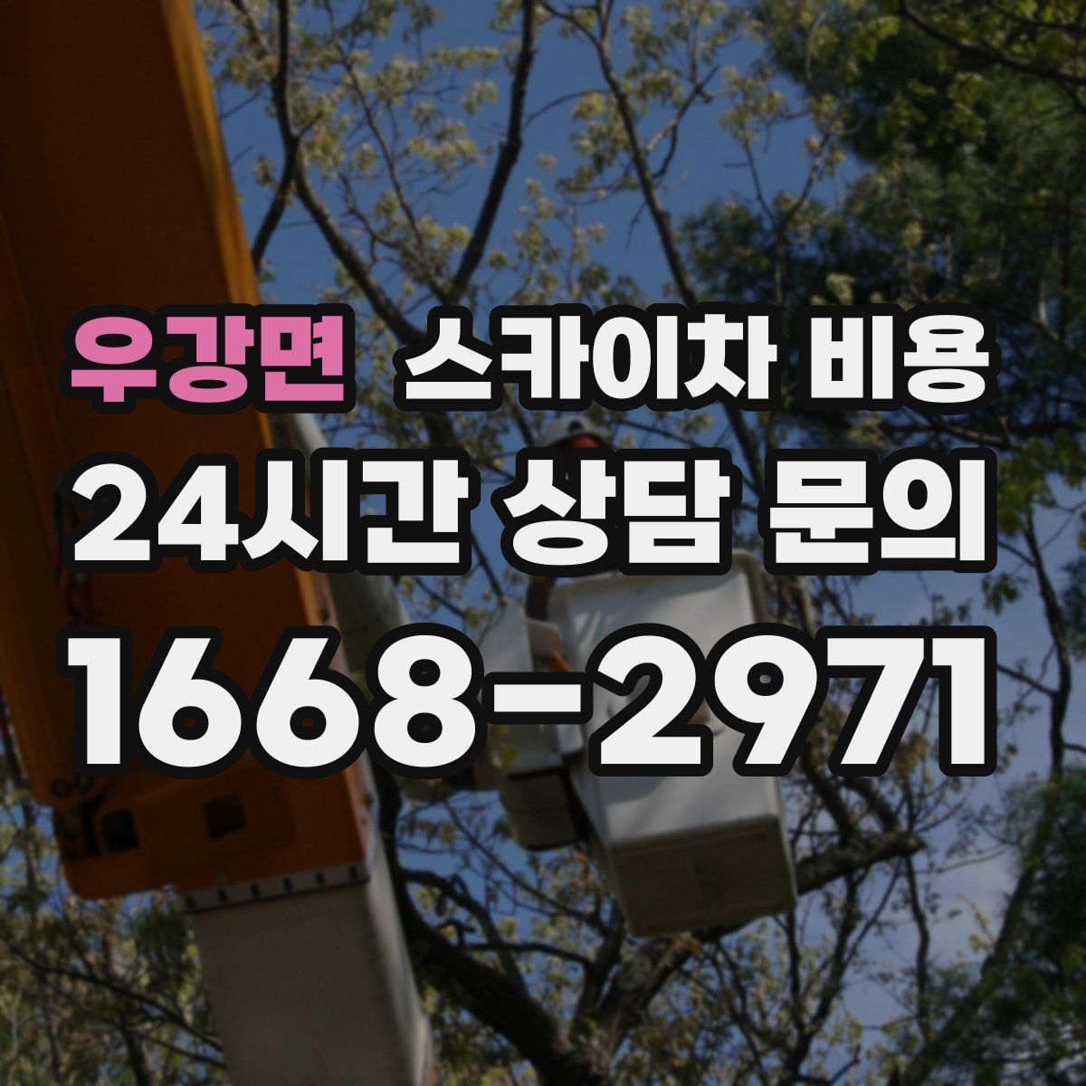 우강면 스카이차 비용