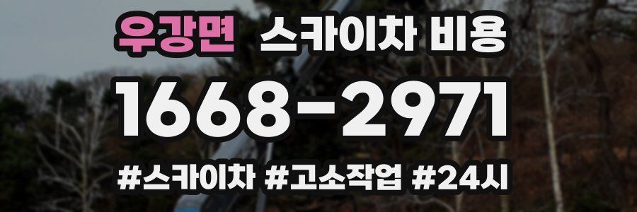 우강면 스카이차 비용