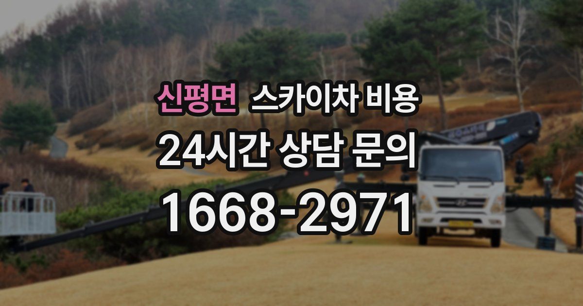 신평면 스카이차 비용