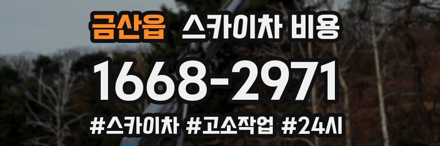 금산읍 스카이차 비용